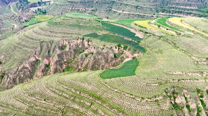 慶城縣林草局榮獲“全國綠化模范單位”榮譽稱號